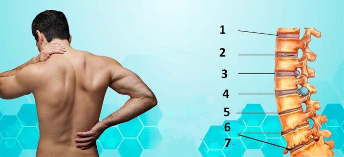 stades de développement de l'ostéochondrose